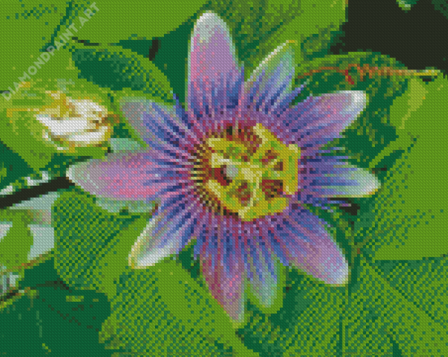 The Passionflower Plant Diamond Painting