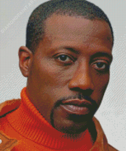 Wesley Snipes Diamond Painting