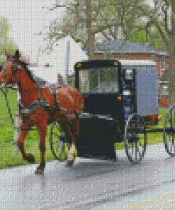 Amish Buggy Diamond Painting
