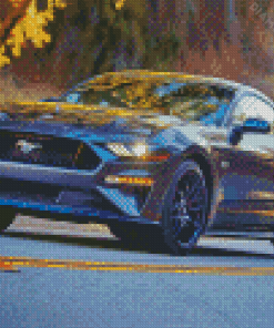 Black 2018 GT Mustang Diamond Painting