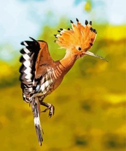 Flying Hoopoe Bird Diamond Painting