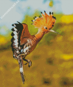 Flying Hoopoe Bird Diamond Painting