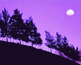 Moon Purple Night Diamond Painting