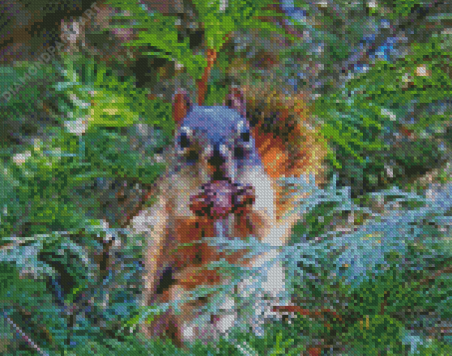 Squirrel With Pinecone Diamond Painting