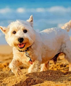 West Highland White Terrier Dog On The Beach Diamond Painting
