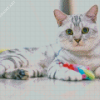 Aesthetic Grey White Cat Diamond Paintings