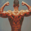 Back Muscles Diamond Painting