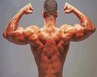 Back Muscles Diamond Painting
