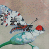 Butterfly And Ladybug Insects Diamond Painting