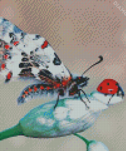 Butterfly And Ladybug Insects Diamond Painting