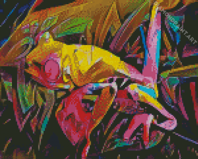 Colorful Abstract Frog Diamond Paintings