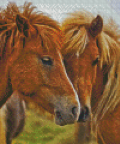 Couple Horses Animals Diamond Painting