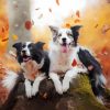Dogs In Autumn Saison Diamond Painting