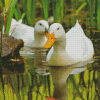 Ducks Swimming Diamond Paintings