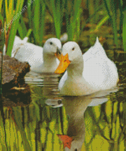 Ducks Swimming Diamond Paintings
