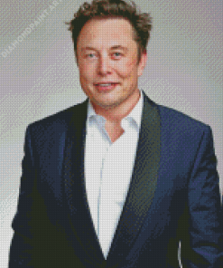 Elon musk Diamond Painting