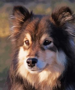 Finnish Lapphund Dog Head Diamond Painting