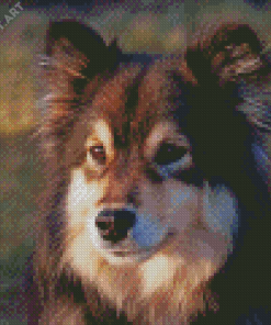 Finnish Lapphund Dog Head Diamond Painting