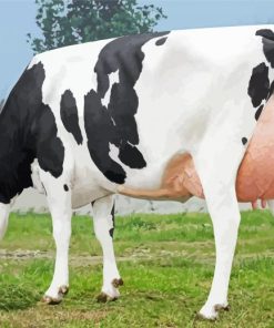 Holstein Friesian Cattle Diamond Painting