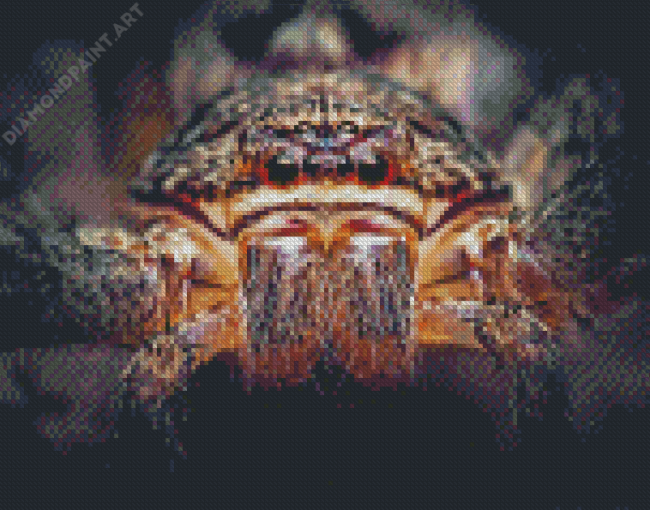 Huntsman Spider Face Diamond Painting