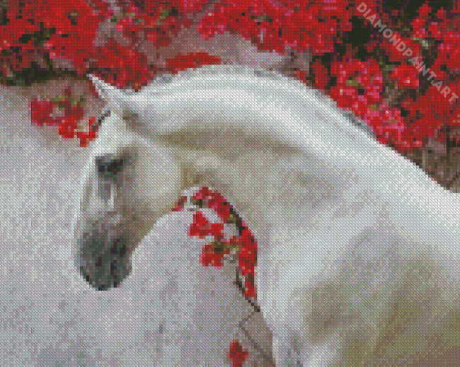 Lusitano And Red Blossoms Diamond Paintings