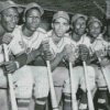 Negro League Baseball Diamond Painting