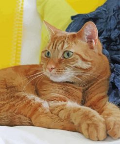 Orange Tabby Cat With Green Eyes Diamond Painting