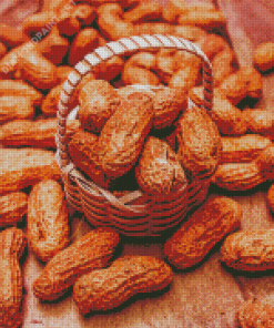 Peanut In A Basket Diamond Painting