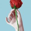 Red Rose And Hand Diamond Painting