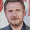 The Actor Liam Neeson Diamond Painting