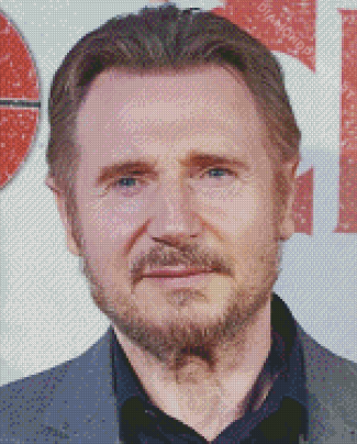 The Actor Liam Neeson Diamond Painting