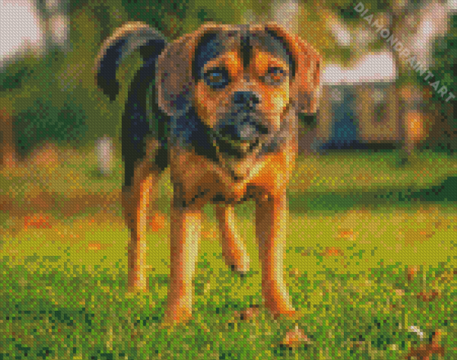 The Puggle Dog Diamond Painting