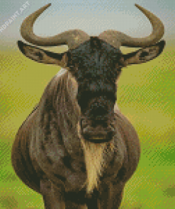 Wildebeest Animal Diamond Painting