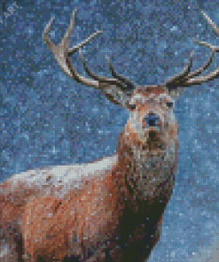 Adorable Deer In Snow Diamond Paintings