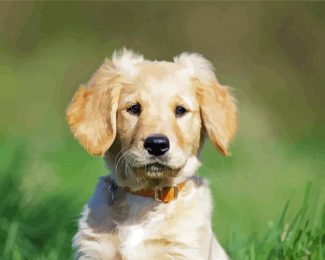 Adorable Golden Puppy Diamond Painting