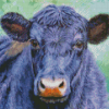 Aesthetic Black Cow Animal Art Diamond Paintings
