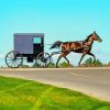 Aesthetic Amish Buggy Diamond Painting