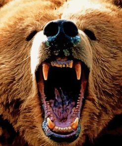 Angry Bear Wildlife Diamond Painting