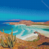 Baja Coast Diamond Painting