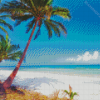 Beach Tropical Palm Diamond Painting