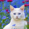 Beautiful Cat In Garden Diamond Paintings
