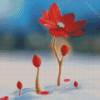 Beautiful Red Spring Flower In Snow Diamond Paintings