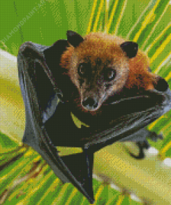Black Winged Bat Diamond Paintings