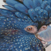 Black Cockatoo Close Up Diamond Painting