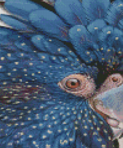 Black Cockatoo Close Up Diamond Painting