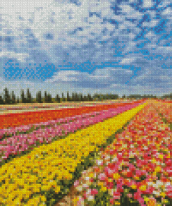 Colorful Buttercup Fields Diamond Painting