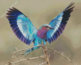Cute Roller Bird Diamond Paintings