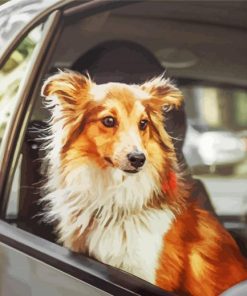 Cute Dog And Car Diamond Paintings