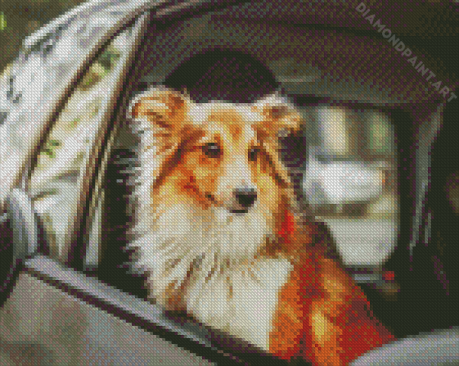 Cute Dog And Car Diamond Paintings
