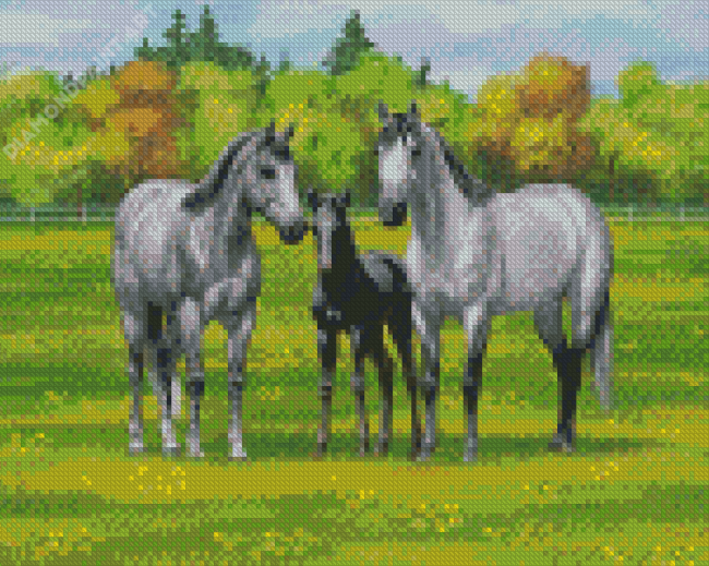 Farm Ranch And Horses Diamond Paintings